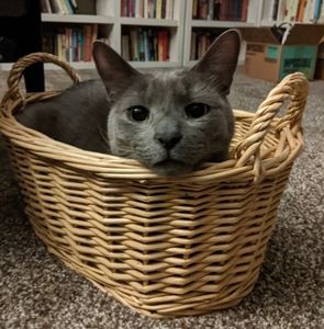 🎉🍕 Meet Me! 🍕🎉